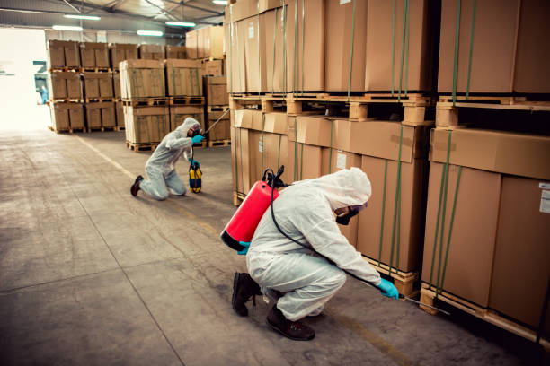 Best Best Pest Control Companies  in Angels, CA