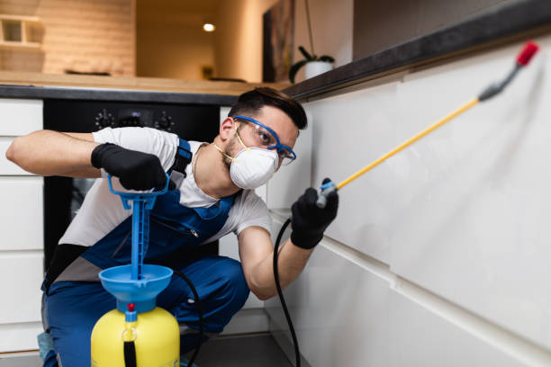 Best Termite Control Services  in Angels, CA