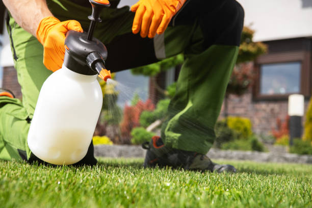 Best Commercial Pest Control Services  in Angels, CA