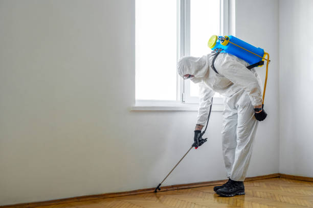 Best Emergency Pest Control  in Angels, CA