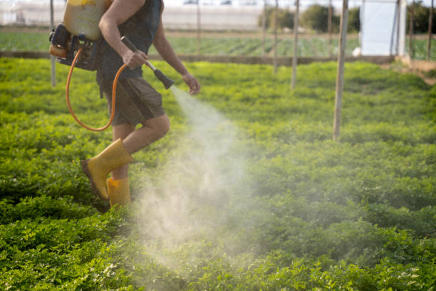 Best Affordable Exterminators  in Angels, CA