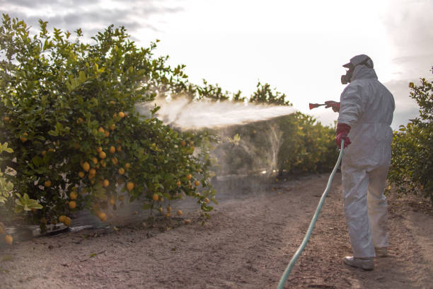 Best Cockroach Control Services  in Angels, CA