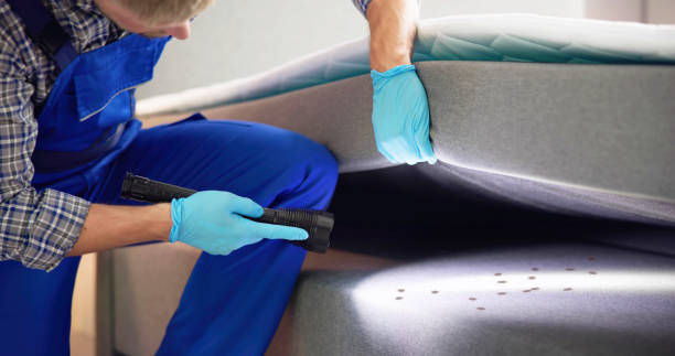 Best Pest Removal Services  in Angels, CA