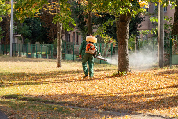 Best Ant Control Services  in Angels, CA
