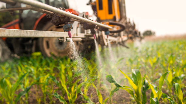 Best Mosquito Control Services  in Angels, CA